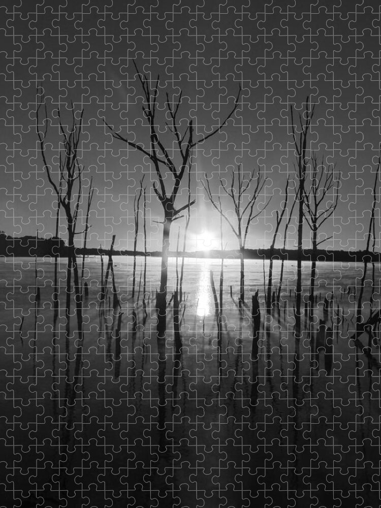 Manasquan Reservoir Jigsaw Puzzle featuring the photograph The Star Arrives by Raymond Salani III