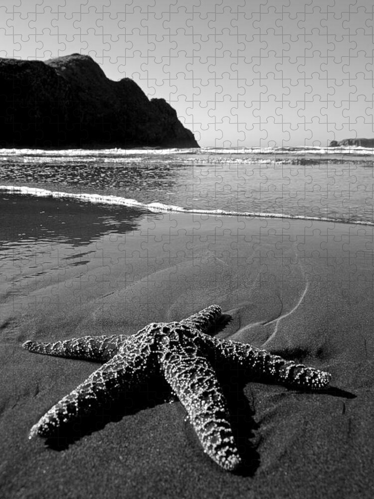 Starfish Jigsaw Puzzle featuring the photograph The Starfish by Peter Tellone