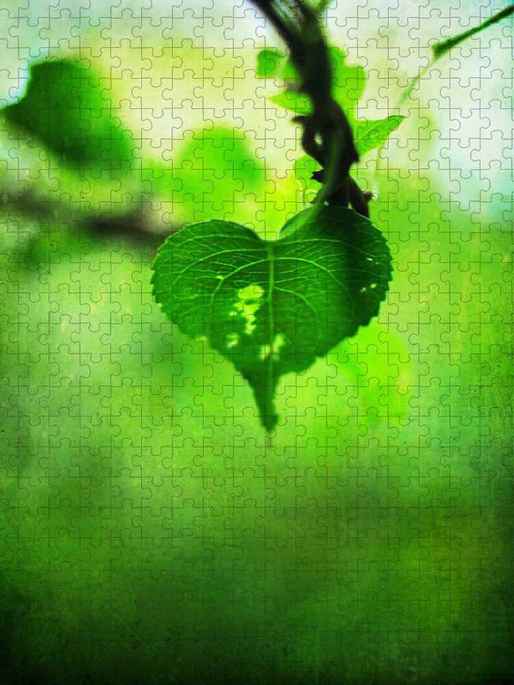 Heart Jigsaw Puzzle featuring the photograph The Trailing Vine by Rebecca Sherman