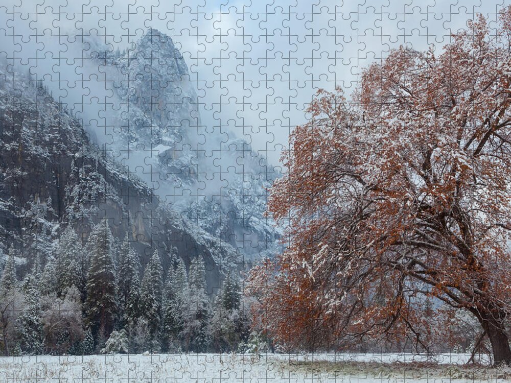 Landscape Jigsaw Puzzle featuring the photograph The Two Seasons by Jonathan Nguyen