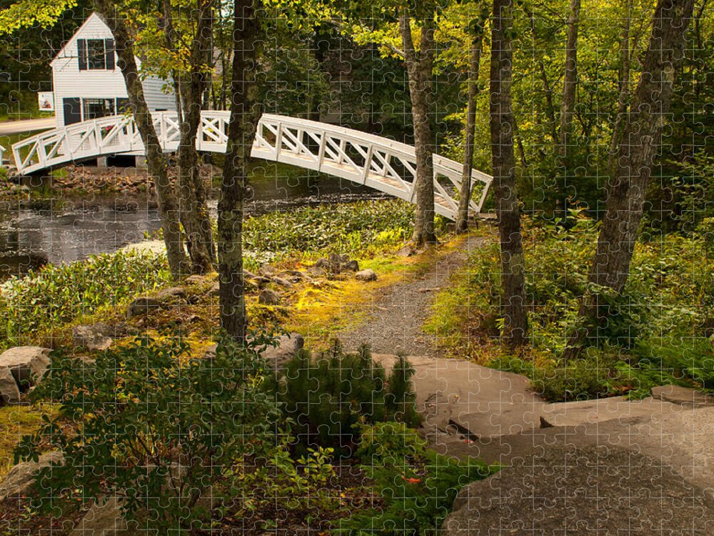 Acadia National Park Jigsaw Puzzle featuring the photograph The Walk by Paul Mangold