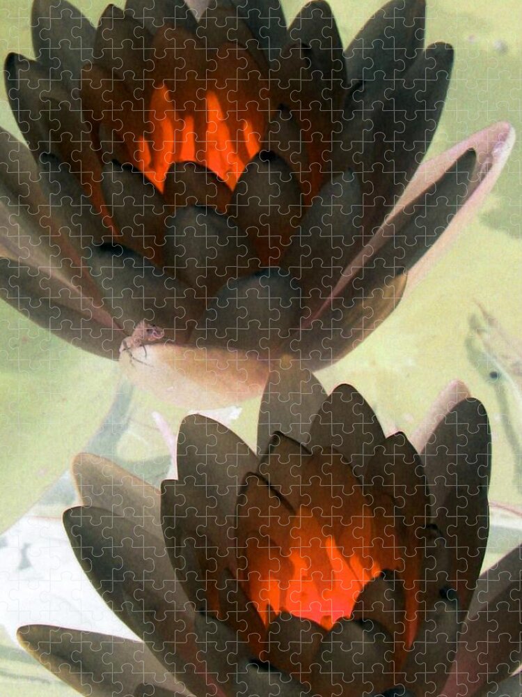 Water Lilies Jigsaw Puzzle featuring the photograph The Water Lilies Collection - PhotoPower 1042 by Pamela Critchlow