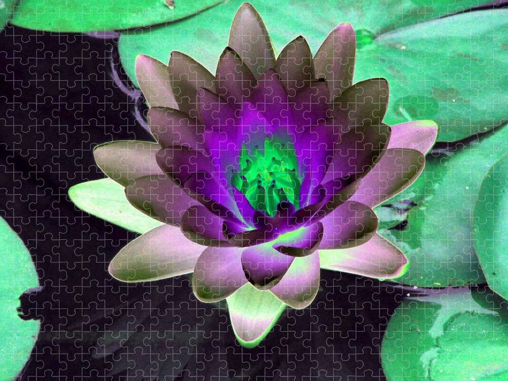 Water Lilies Jigsaw Puzzle featuring the photograph The Water Lilies Collection - PhotoPower 1114 by Pamela Critchlow