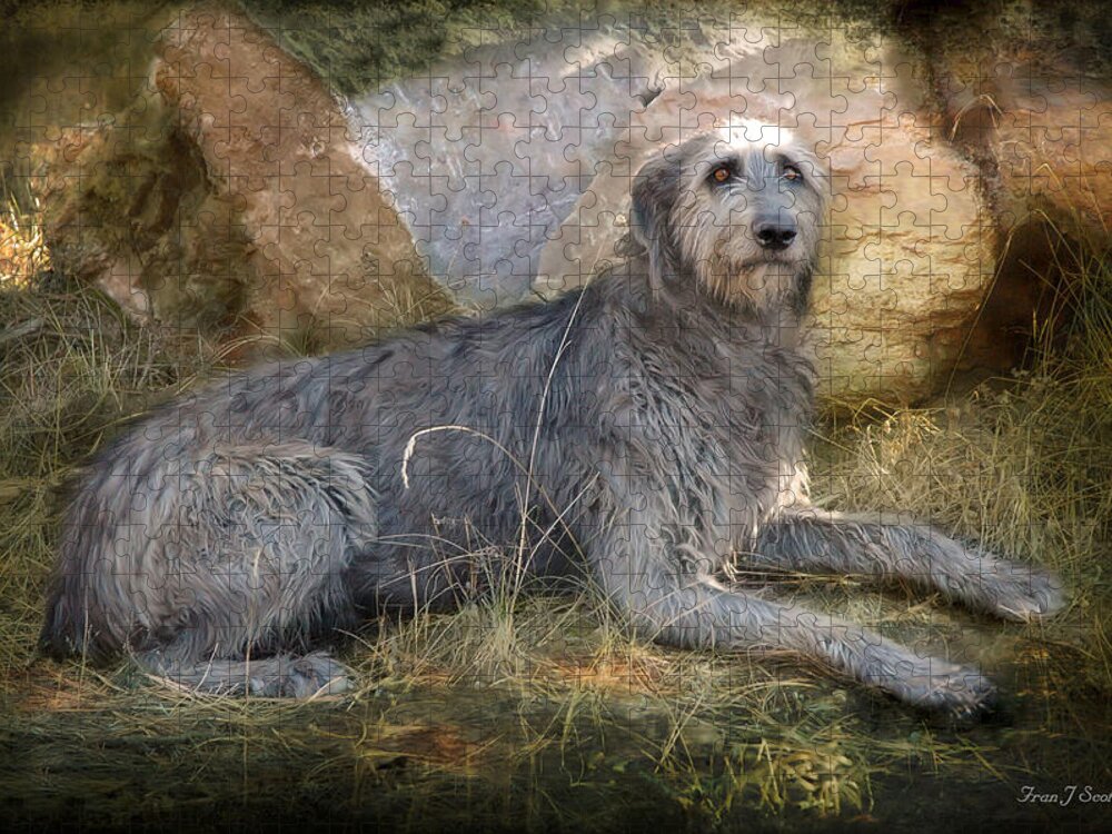Dogs Jigsaw Puzzle featuring the photograph The Wolfhound by Fran J Scott