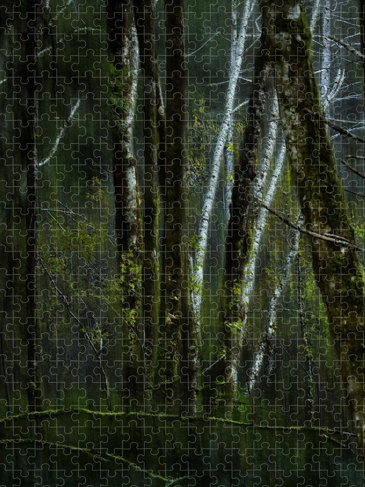 Woods Jigsaw Puzzle featuring the photograph Through a Glass . . . Darkly by Belinda Greb