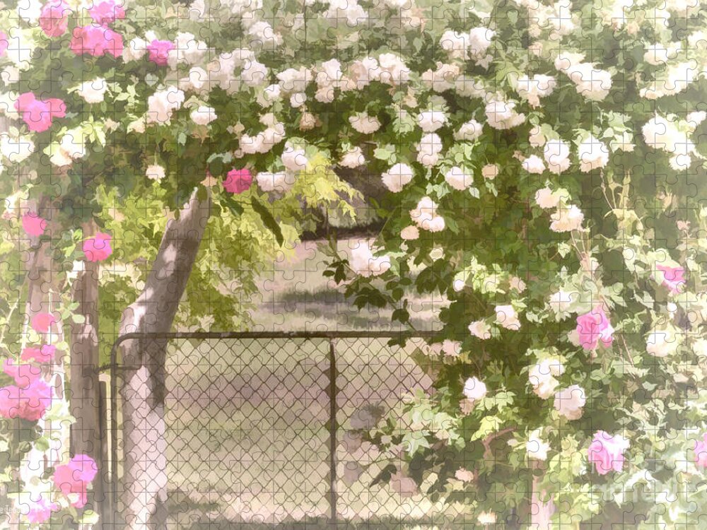 Roses Jigsaw Puzzle featuring the photograph Through the Rose Arbor by Elaine Teague