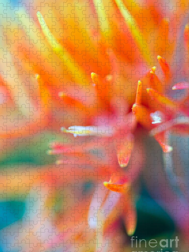 Abstract Jigsaw Puzzle featuring the photograph Tie-Dye by Tamara Becker