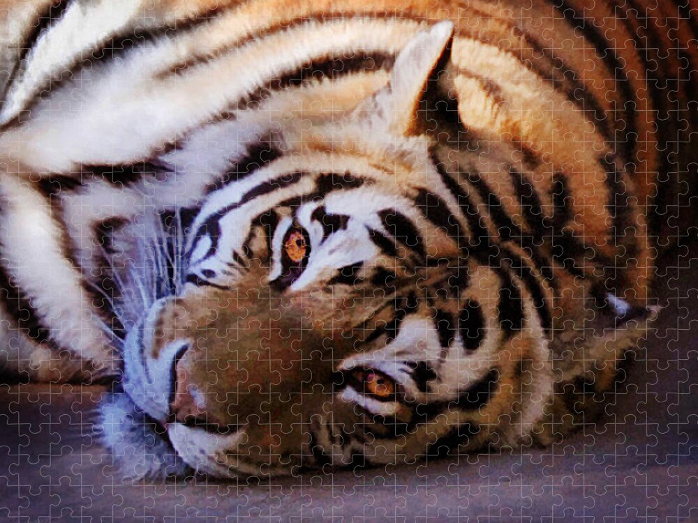 Siberian Tiger Jigsaw Puzzle featuring the photograph Tiger Eyes by Melinda Hughes-Berland