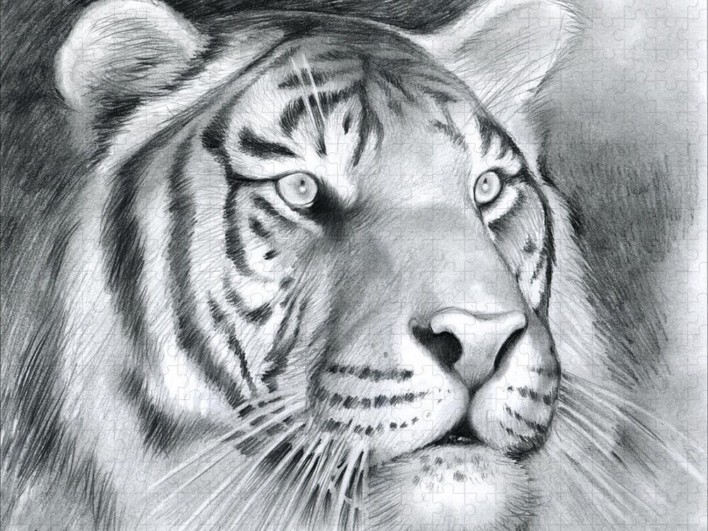 Tiger Jigsaw Puzzle featuring the drawing Tiger by Greg Joens
