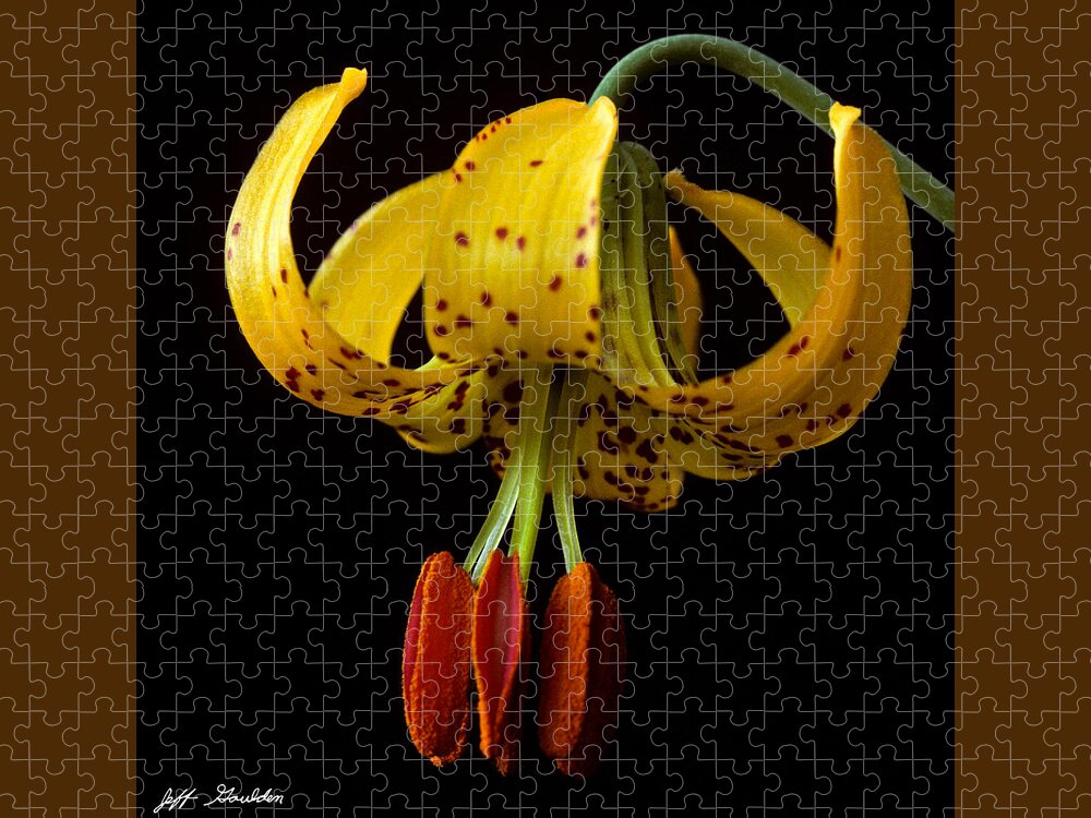 Beauty In Nature Jigsaw Puzzle featuring the photograph Tiger Lily by Jeff Goulden