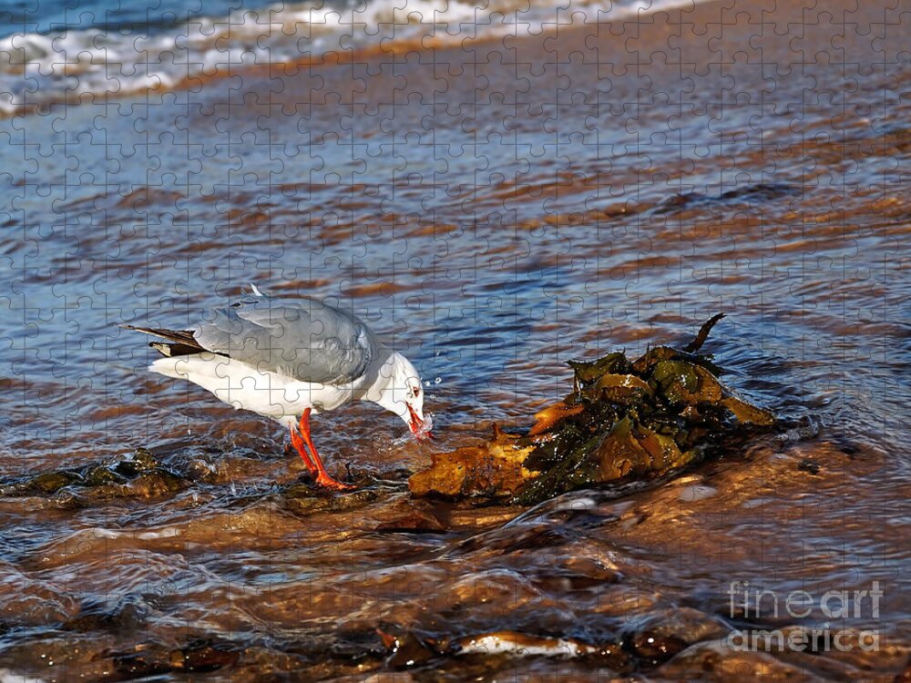 Photography Jigsaw Puzzle featuring the photograph Time for a Drink by Kaye Menner