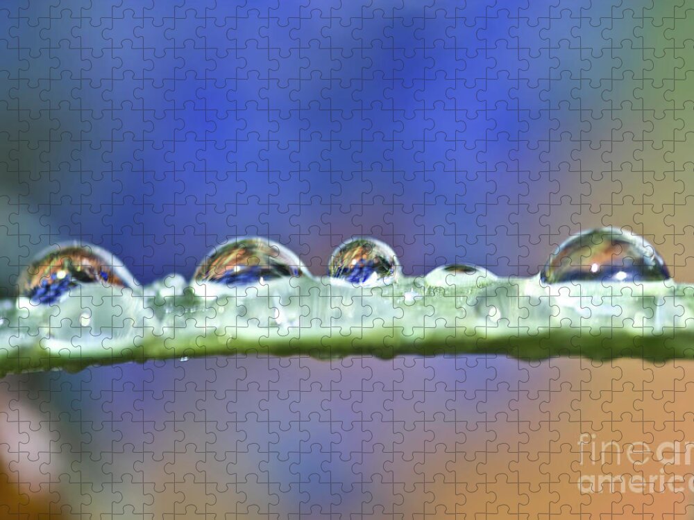 Drop Jigsaw Puzzle featuring the photograph Tiny waterdrops and a leaf by Heiko Koehrer-Wagner
