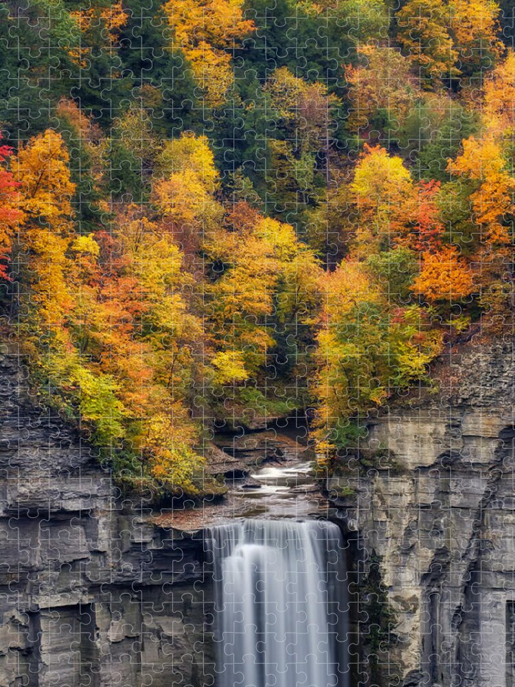Taughannock Falls Jigsaw Puzzle featuring the photograph Top of the falls by Mark Papke