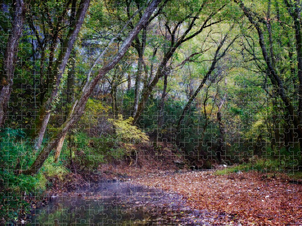 Arkansas Jigsaw Puzzle featuring the photograph Touch of Fall by Lana Trussell
