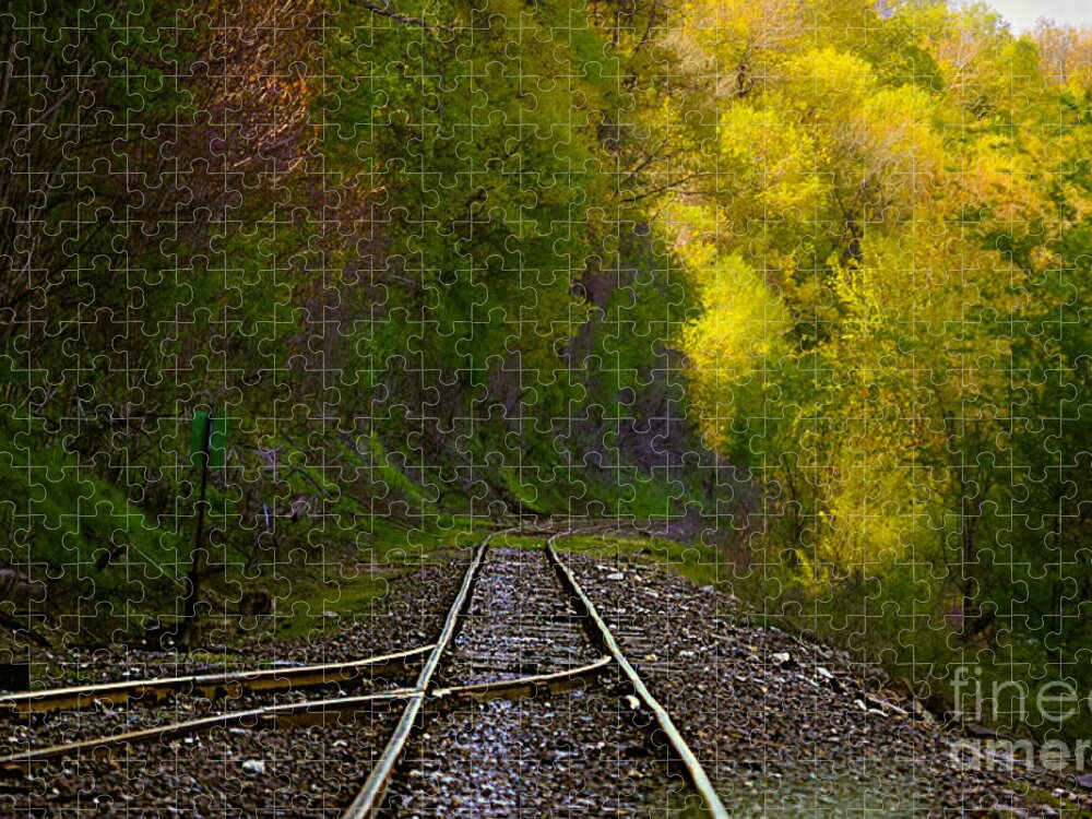 Railroad Tracks Landscape Jigsaw Puzzle featuring the photograph Track Through The Hillside by Peggy Franz