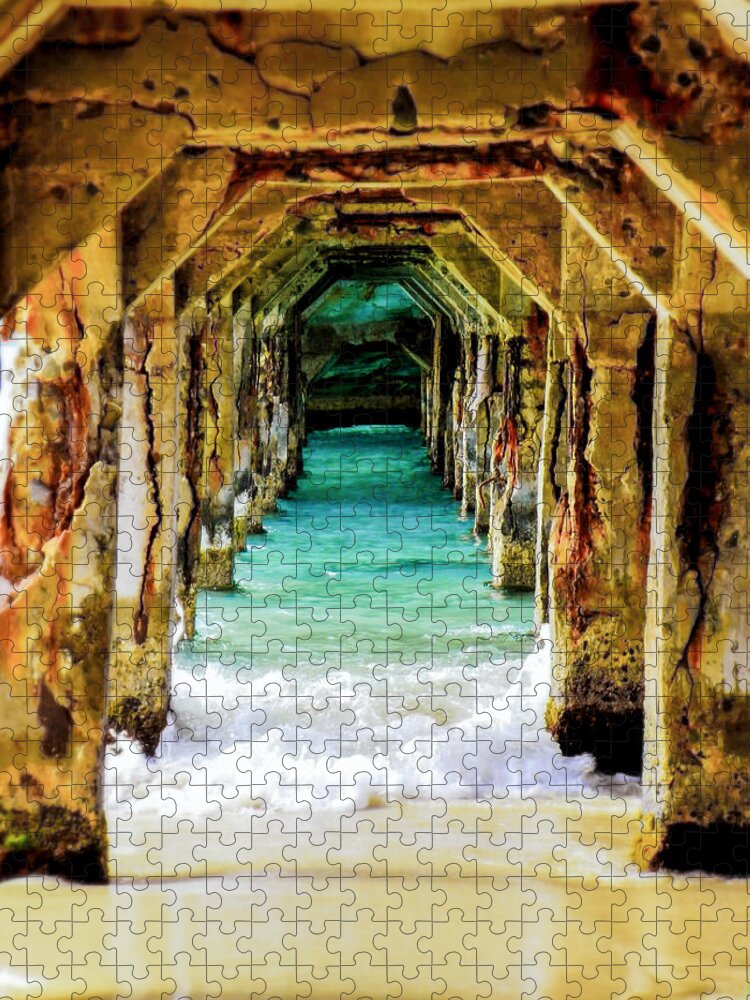 Waterscapes Jigsaw Puzzle featuring the photograph Tranquility Below by Karen Wiles