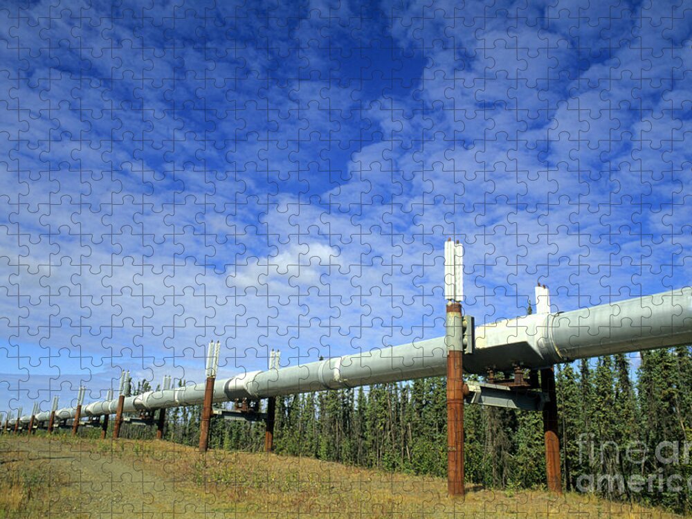 Alaska Jigsaw Puzzle featuring the photograph Trans-alaska Pipeline by Bill Bachmann
