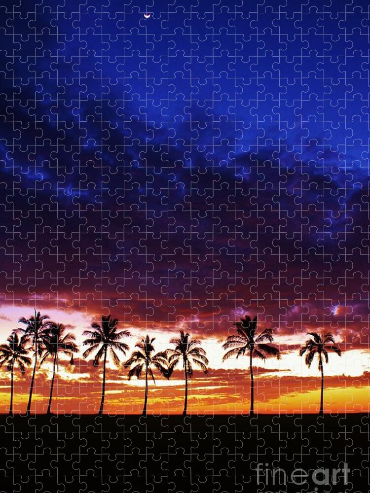 Sunset Jigsaw Puzzle featuring the photograph Transition by Craig Wood
