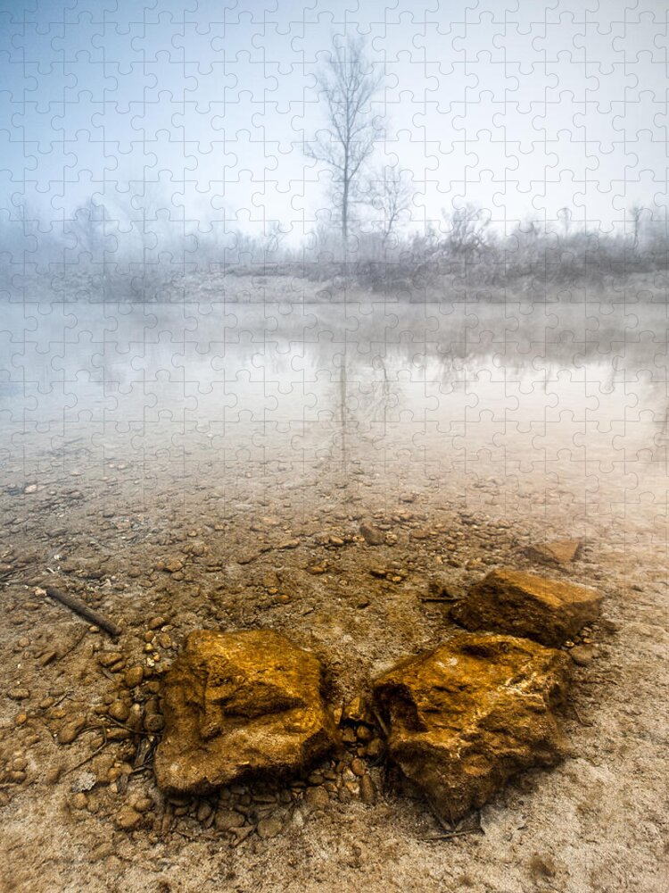 Landscapes Jigsaw Puzzle featuring the photograph Tree and rocks by Davorin Mance