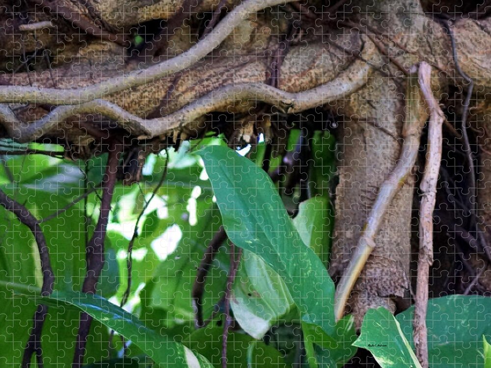 Tree Jigsaw Puzzle featuring the photograph Tree Branch by Rafael Salazar