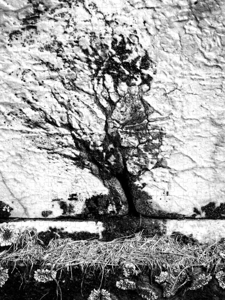 B & W Jigsaw Puzzle featuring the photograph Tree in Stone by Paul W Faust - Impressions of Light