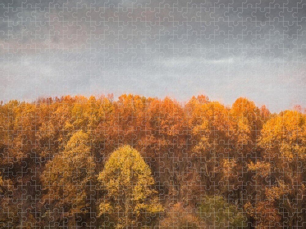 Tree Jigsaw Puzzle featuring the photograph Tree Line In Autumn by Gary Slawsky