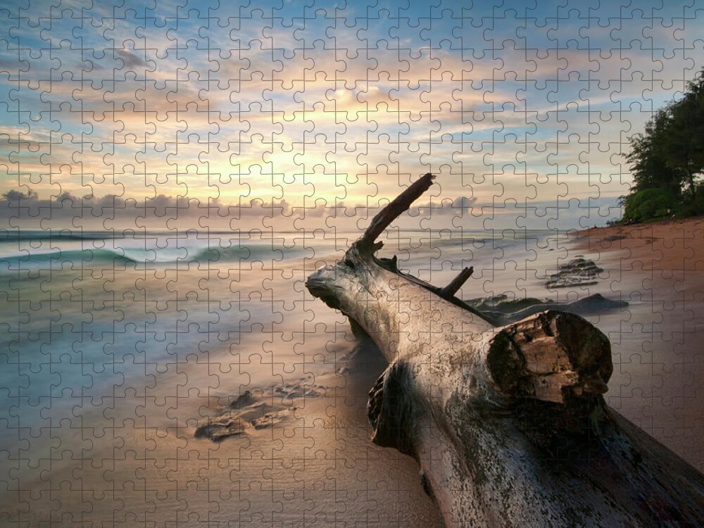 Scenics Jigsaw Puzzle featuring the photograph Tree Log by Lee Sie Photography