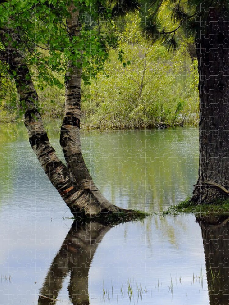 Tree Reflections Jigsaw Puzzle featuring the photograph Tree Reflection by Kae Cheatham