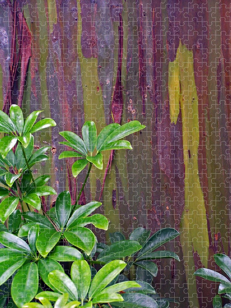 Plants Jigsaw Puzzle featuring the photograph Tree with yellow lines by Jennifer Robin