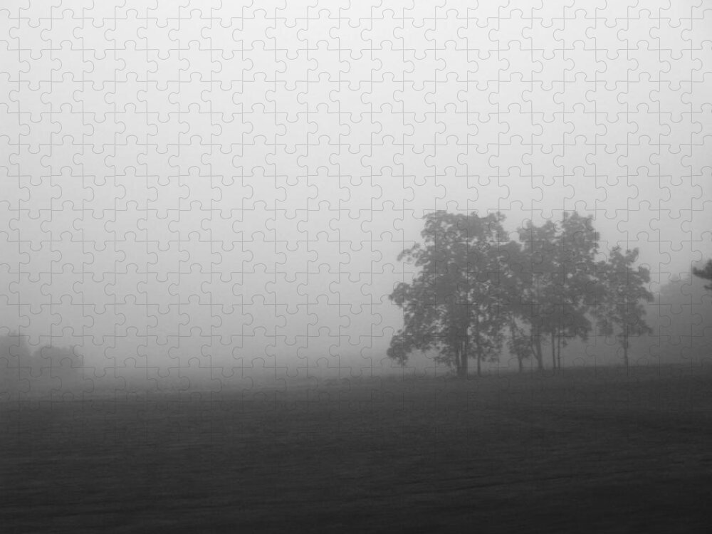 Rhonda Barrett Jigsaw Puzzle featuring the photograph Trees in the Mist by Rhonda Barrett