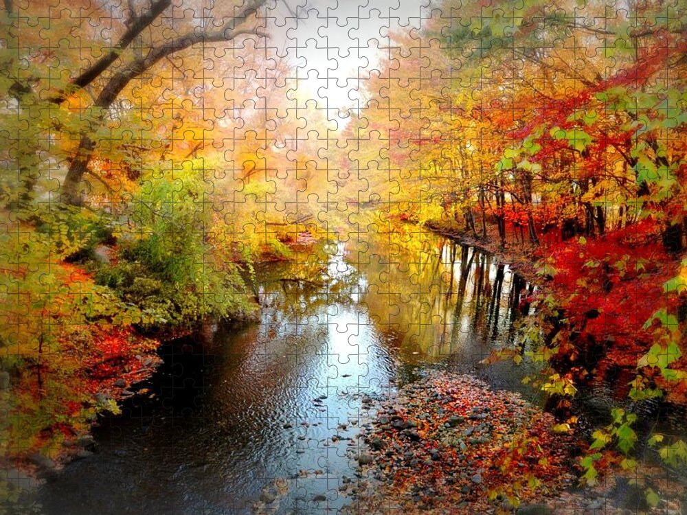 Landscape Jigsaw Puzzle featuring the photograph Trip Through My Mind by Diana Angstadt