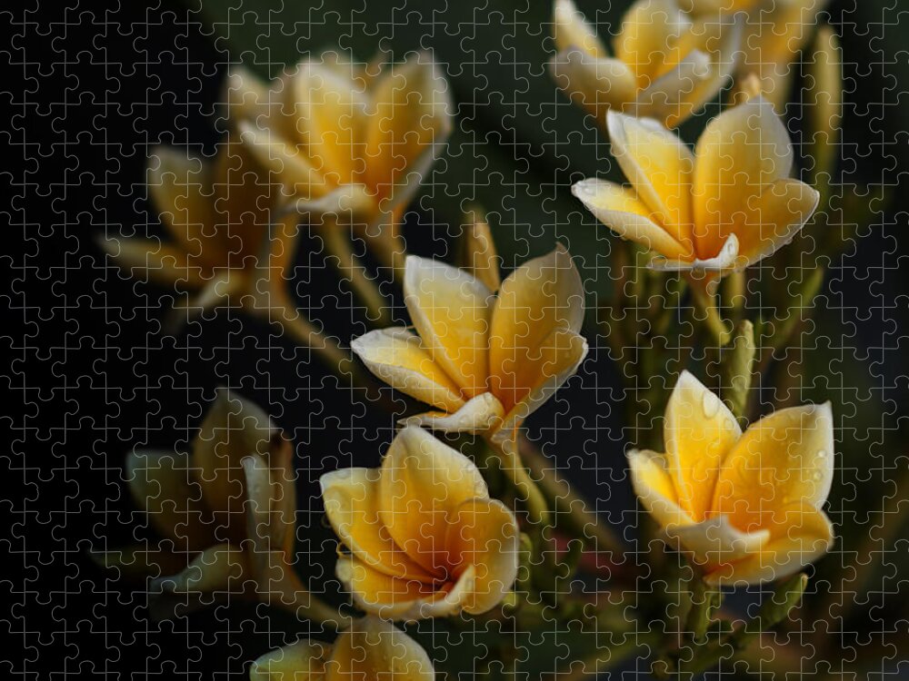 Flowers Jigsaw Puzzle featuring the photograph Tropic Welcome by Miguel Winterpacht
