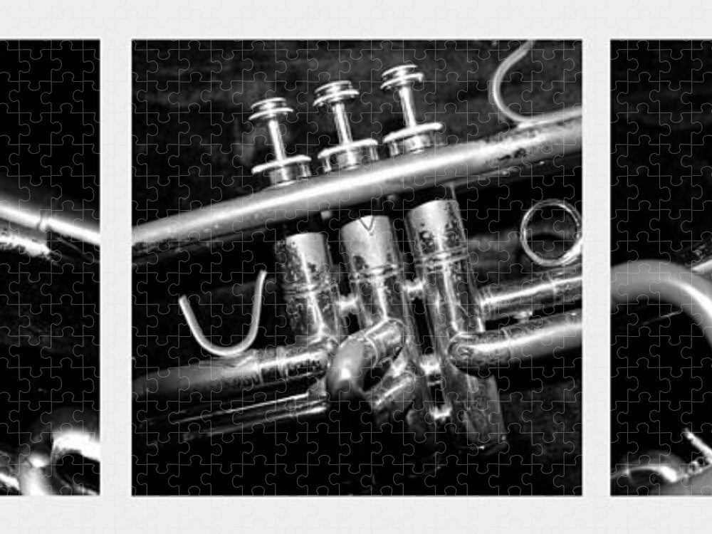 Trumpet Jigsaw Puzzle featuring the photograph Trumpet Triptych by Photographic Arts And Design Studio