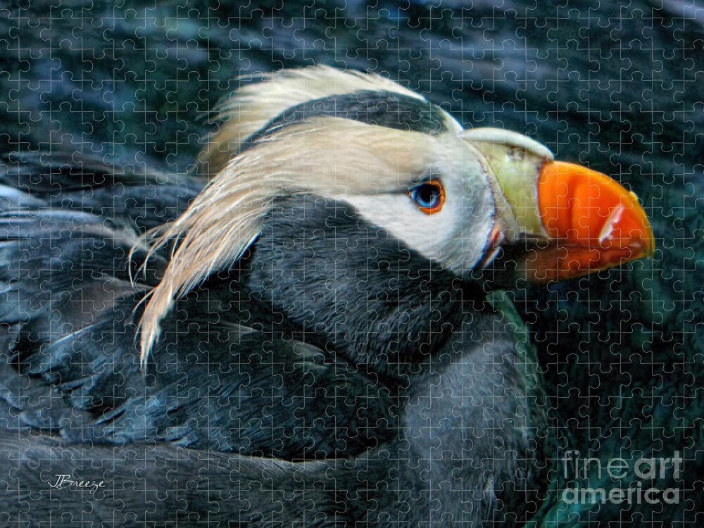 Puffin Jigsaw Puzzle featuring the photograph Tufted Puffin Profile by Jennie Breeze