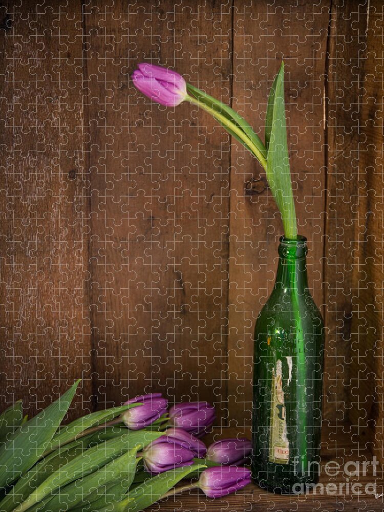 Maine Nature Photographers Jigsaw Puzzle featuring the photograph Tulips Green Bottle by Alana Ranney
