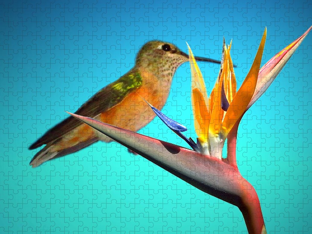 Bird Jigsaw Puzzle featuring the photograph Two Birds Of Paradise by Joyce Dickens