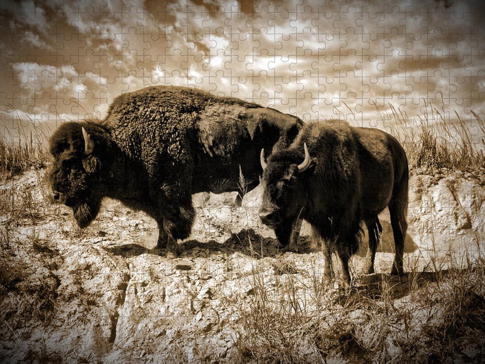 Photograph Jigsaw Puzzle featuring the photograph Two Buffalo by Richard Gehlbach