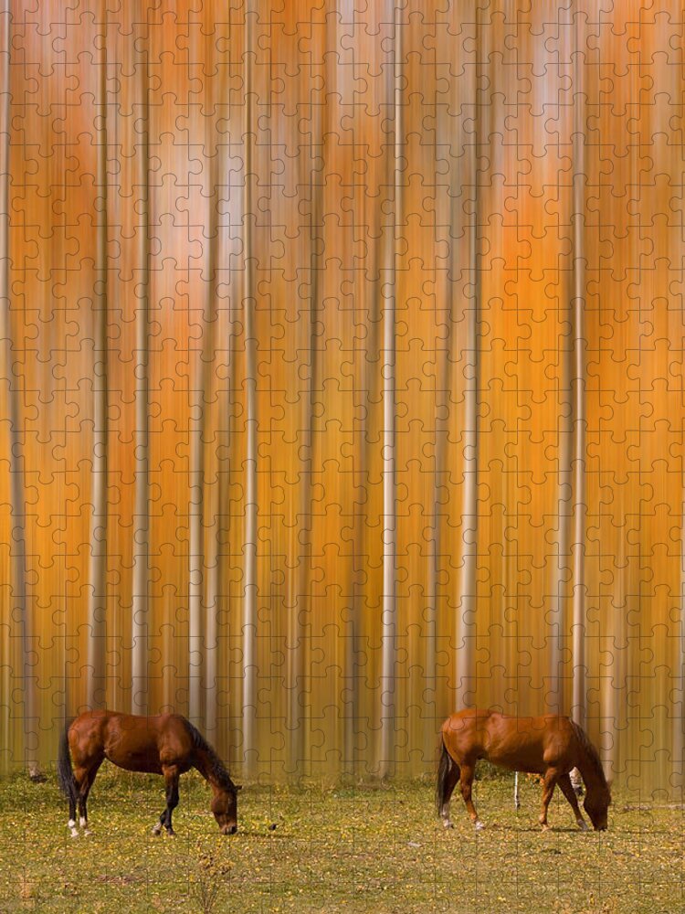 Horse Jigsaw Puzzle featuring the photograph Two Colorado High Country Mystic Autumn Horses by James BO Insogna