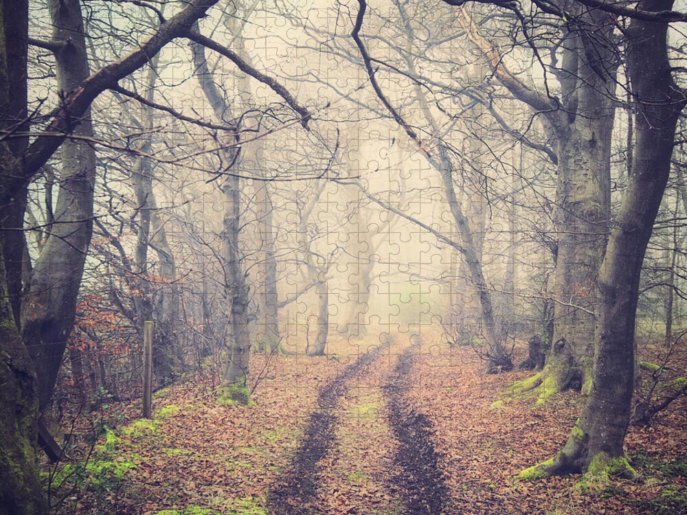 Tranquility Jigsaw Puzzle featuring the photograph Tyre Tracks by Samantha Nicol Art Photography