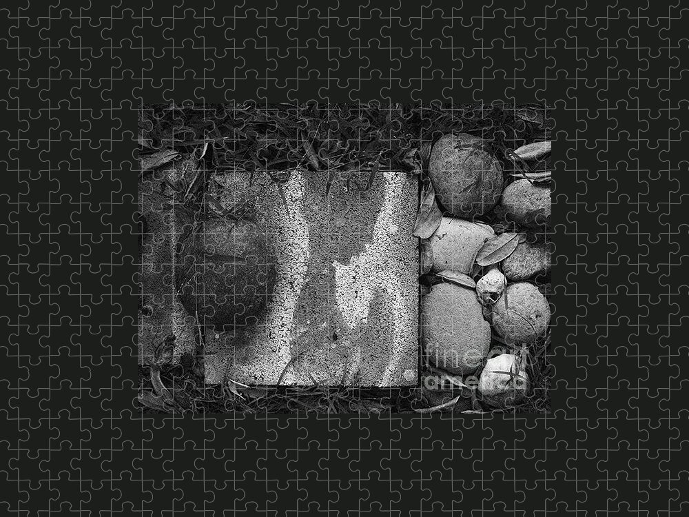Black And White Photography Jigsaw Puzzle featuring the photograph Underneath the Concrete2 by Fei A