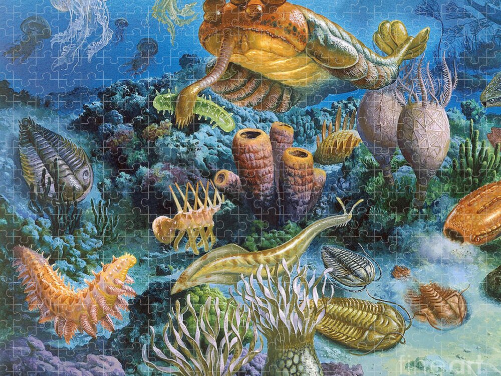 Illustration Jigsaw Puzzle featuring the photograph Underwater Paleozoic Landscape by Publiphoto