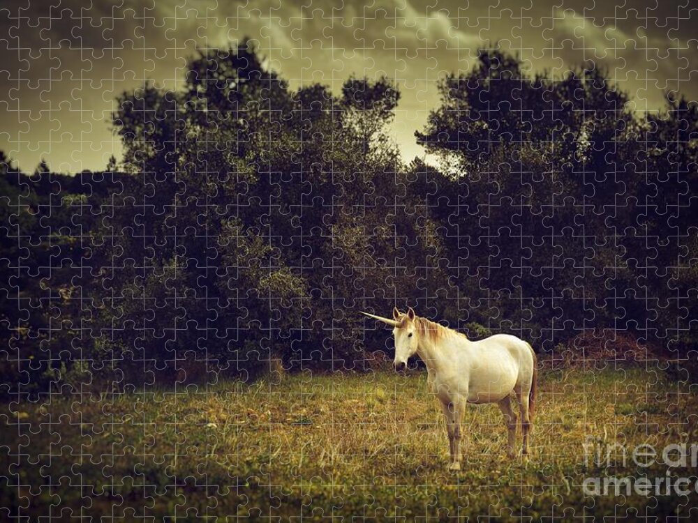 Unicorn Jigsaw Puzzle featuring the photograph Unicorn by Carlos Caetano
