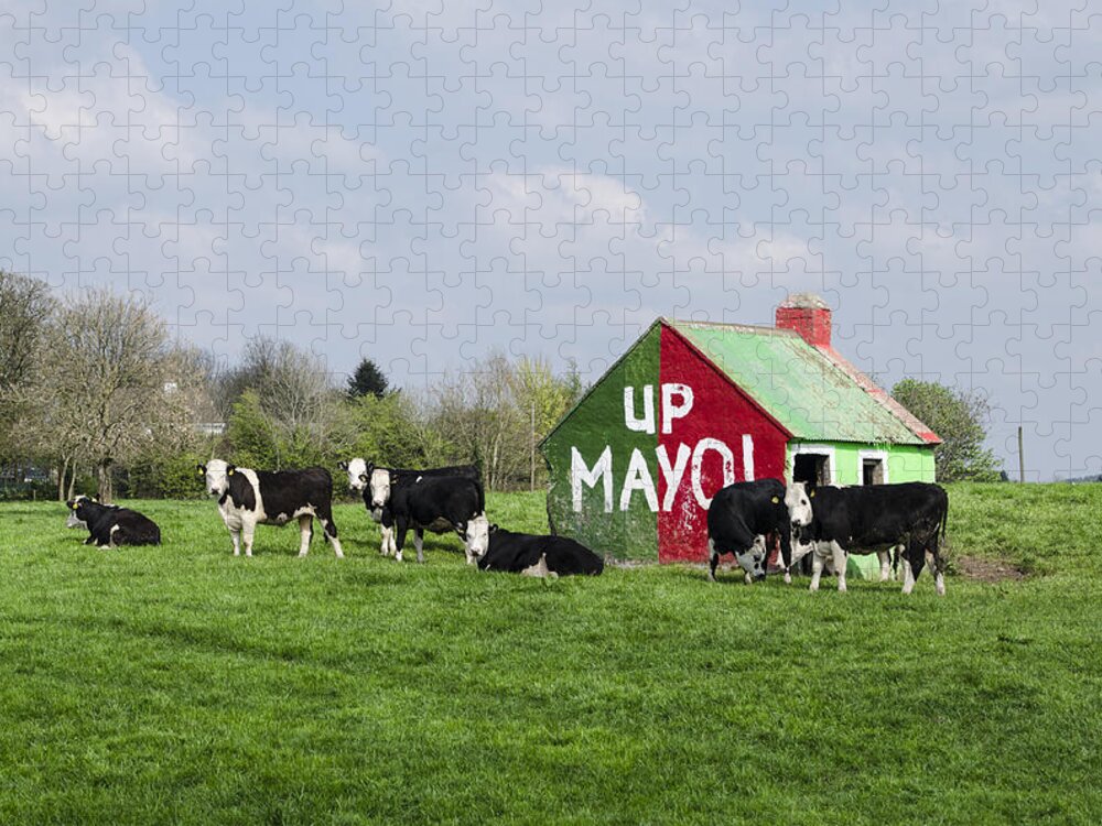 Mayo Jigsaw Puzzle featuring the photograph Up Mayo by Bill Cannon