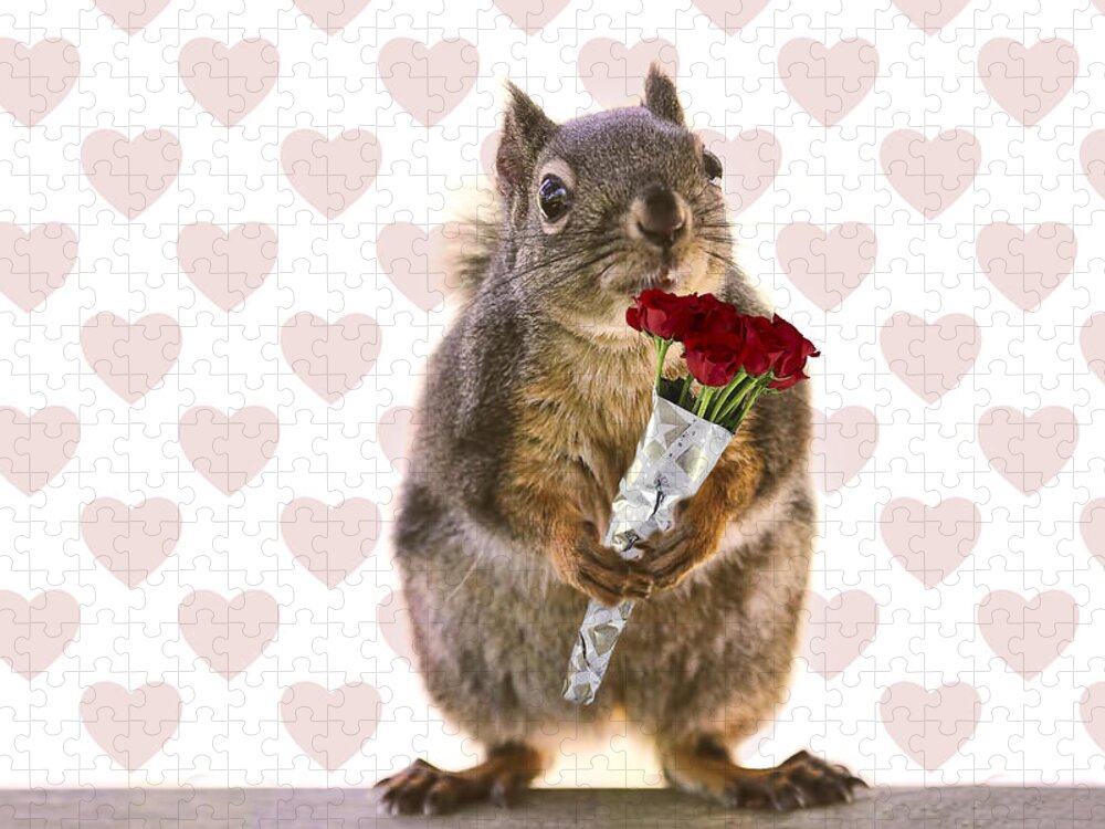 Valentines Day Jigsaw Puzzle featuring the photograph Valentines Day Squirrel with a Dozen Red Roses by Peggy Collins