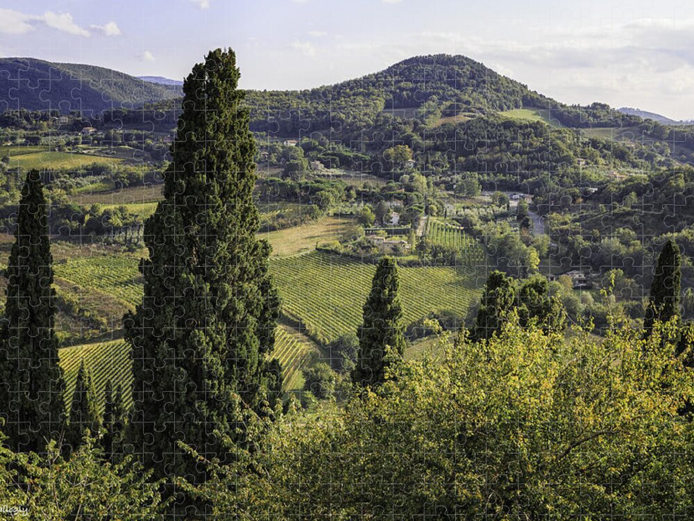 View Jigsaw Puzzle featuring the photograph View from Montepulciono by Fran Gallogly