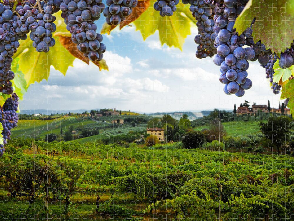 Italy Jigsaw Puzzle featuring the photograph Vineyards in San Gimignano Italy by Good Focused
