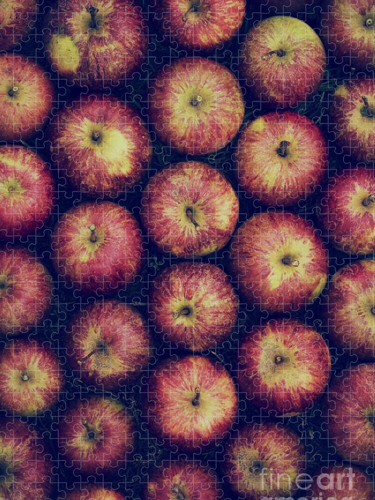 Vintage Jigsaw Puzzle featuring the photograph Vintage Apples by Tim Gainey