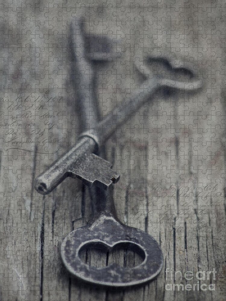 Keys Jigsaw Puzzle featuring the photograph Vintage Keys by Priska Wettstein