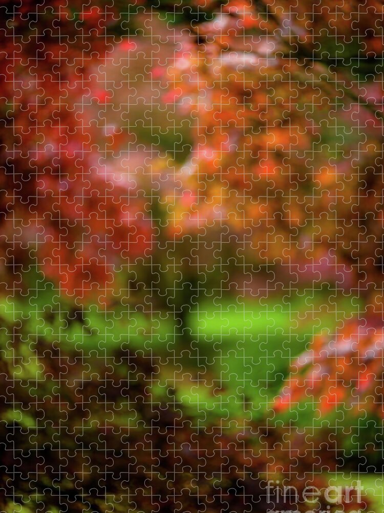 Abstract Jigsaw Puzzle featuring the photograph Visions of Leaves by Venetta Archer