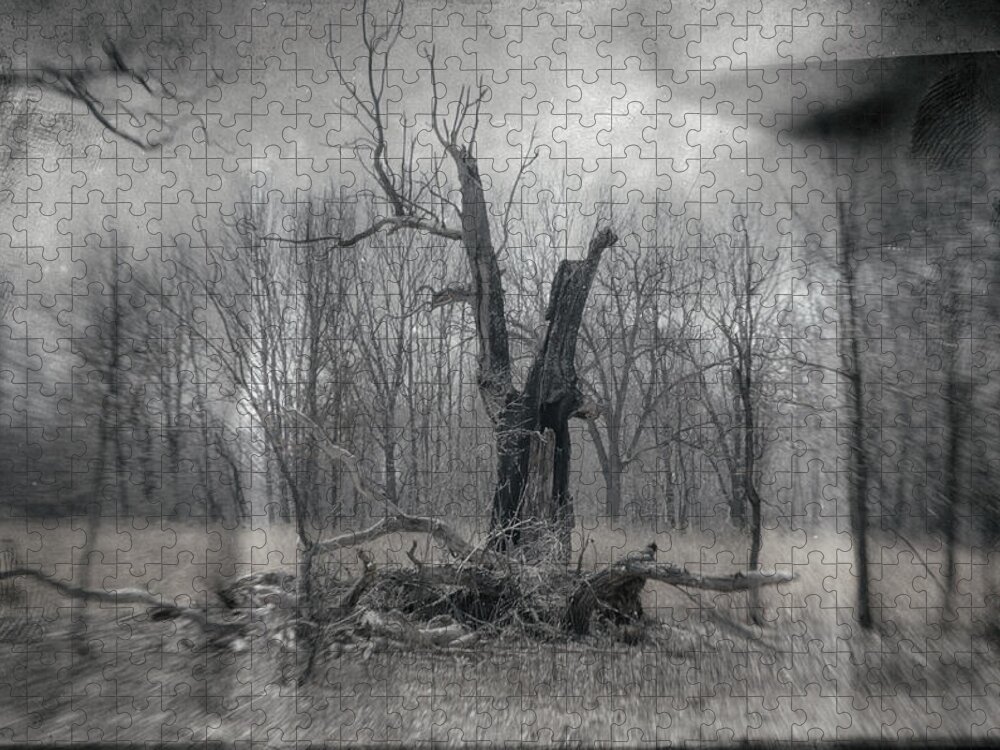 Black & White Jigsaw Puzzle featuring the photograph Visitor In The Woods by Jim Shackett